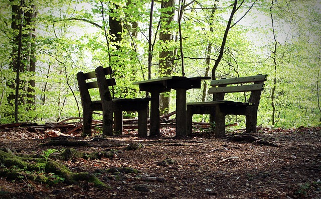 帕托破